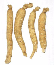 white ginseng root