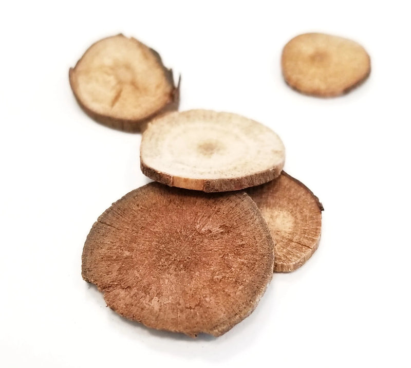 wu yao whole herb