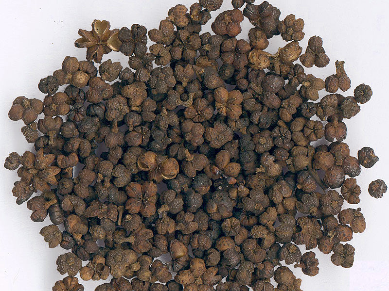 wu zhu yu whole herb