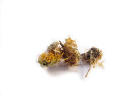 xuan fu hua whole herb