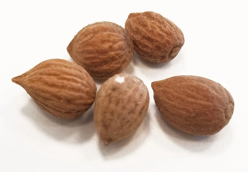 yu li ren whole herb