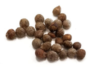zi su zi whole herb